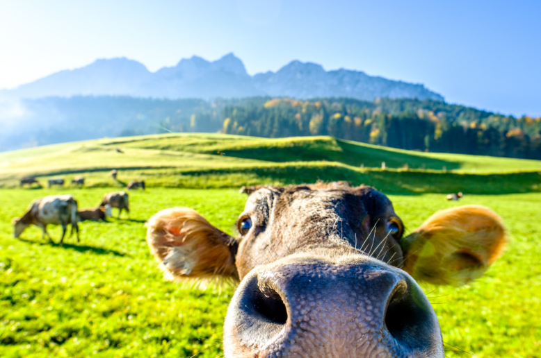 不求人,这些搞笑素材,原创也很简单