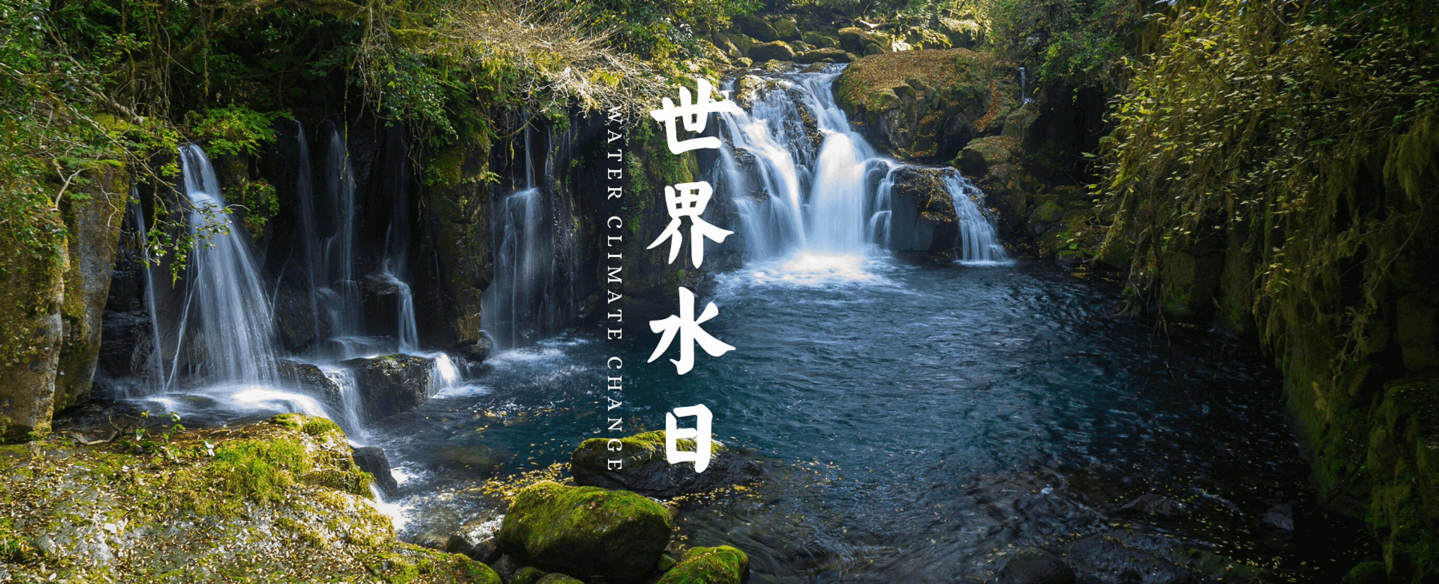 世界水日宣传模板丨保护水 保护生命之源