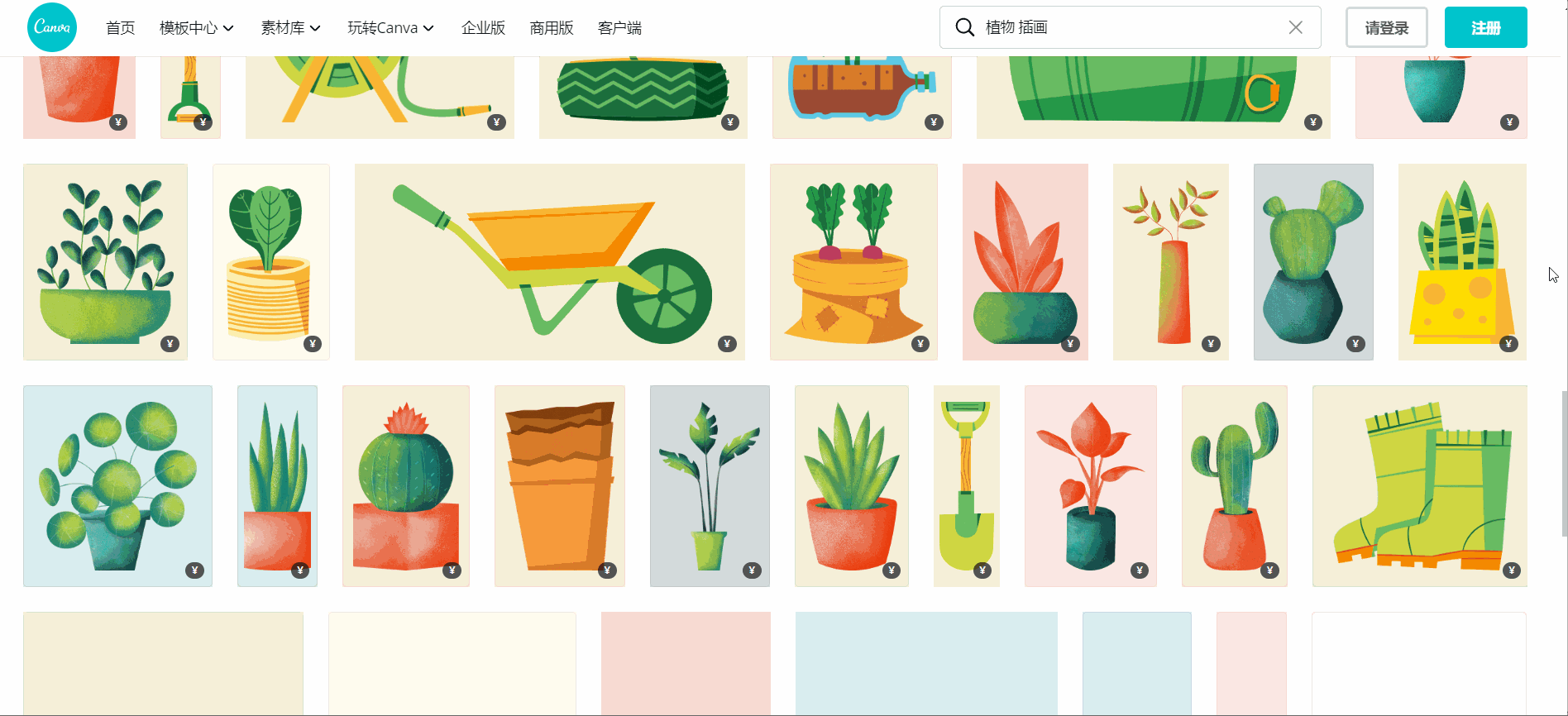 植物插画 这些大热的ins风绿植 我帮你整理好了素材模板