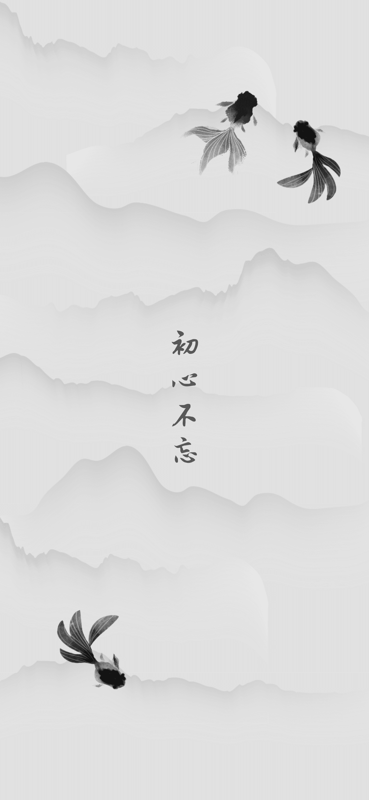 全面屏 水滴屏 2k 4k屏幕的手机壁纸尺寸是多少