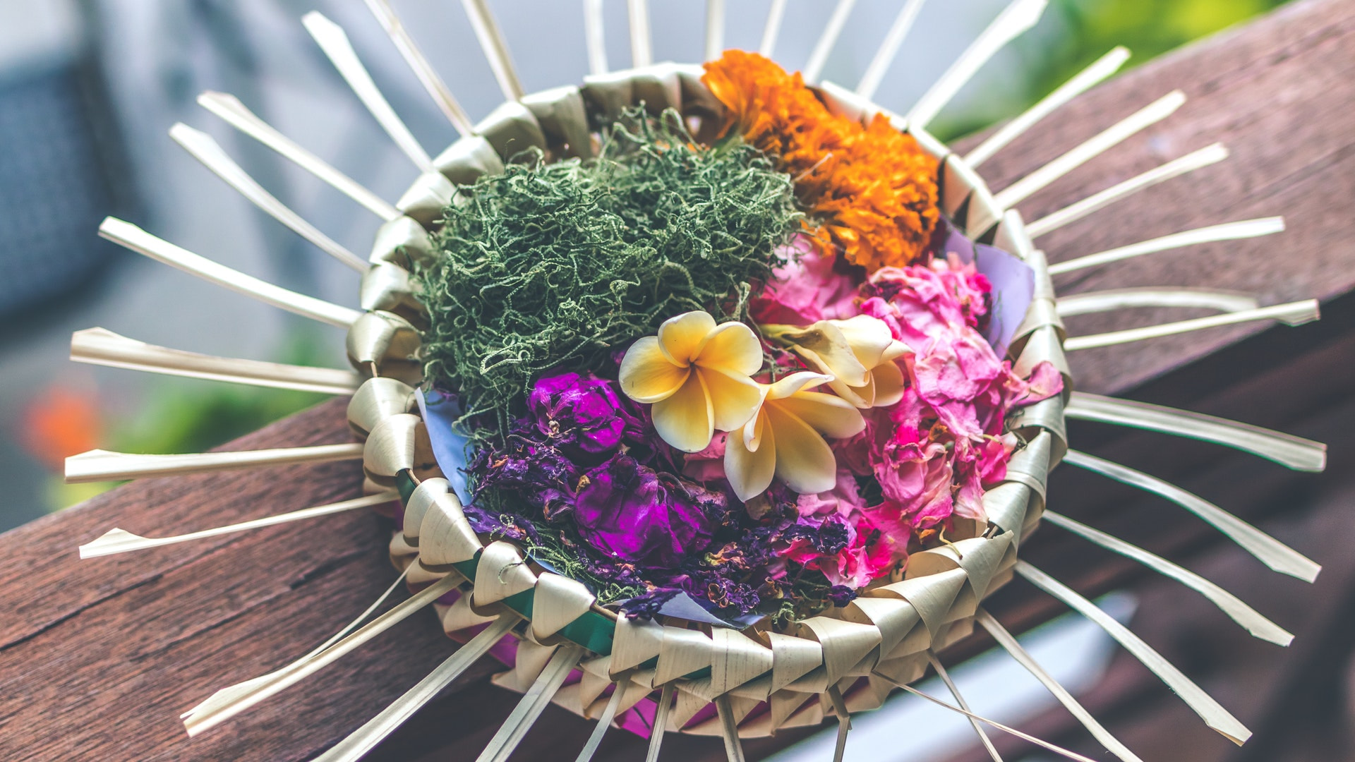 村上春树教会我们的仪式感与生活设计 设计学院 Canva 中国